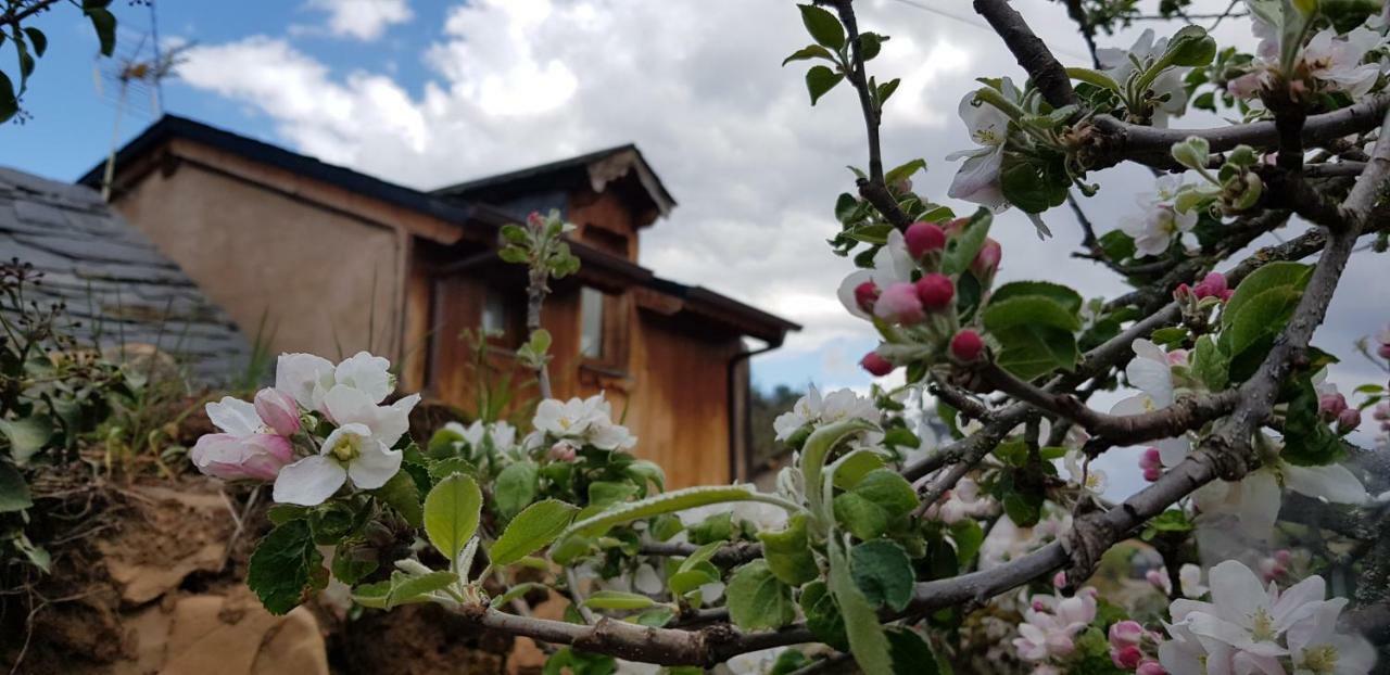 Casa Rural La Jara Blanca Guest House San Justo de Cabanillas Exterior photo